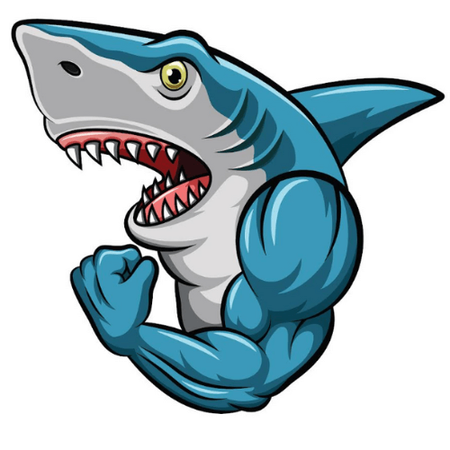 תוסף תזונה שארקון 60 כמוסות לתמיכה בשיפור און מיני 4